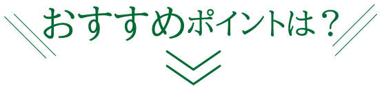 おすすめポイント