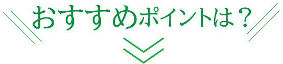 おすすめポイント